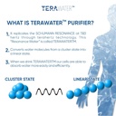 Terawater Purifier